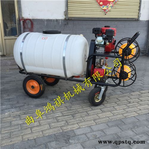 新型手推式农用喷雾器汽油打药机汽油泵打药车图6