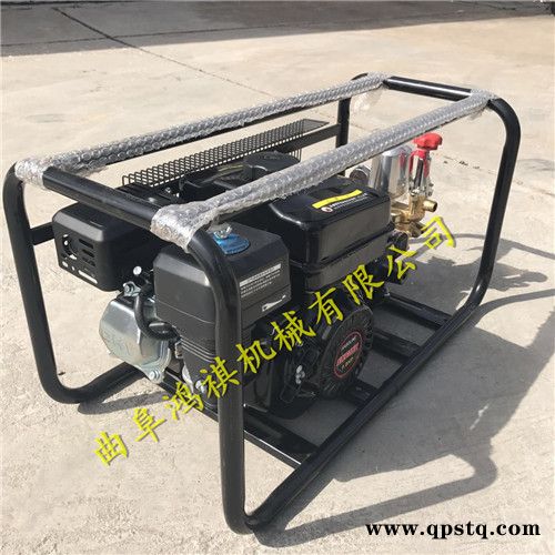 衡阳 麦田喷雾机图片 高压远程汽油喷雾器 汽油泵打药车H图4