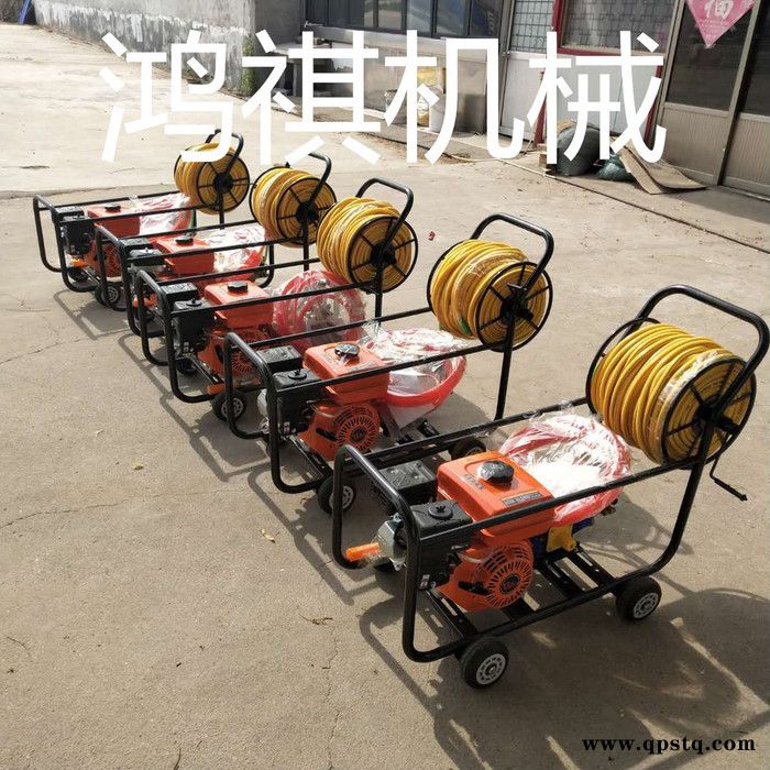 高压管喷射打药机 新型汽油打药机价格 电动 汽油泵节能打药机图5