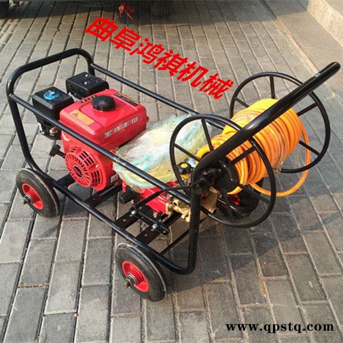 高压管喷射打药机 新型汽油打药机价格 电动 汽油泵节能打药机图7