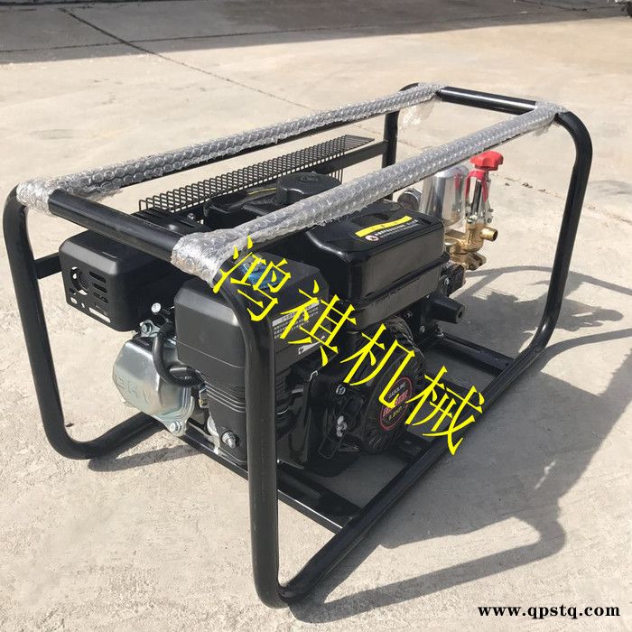 高压管喷射打药机 新型汽油打药机价格 电动 汽油泵节能打药机图2