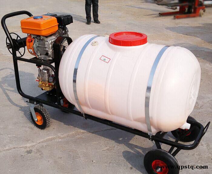 汽油泵手推打药车 消毒灭菌打药车 灭虫悬挂式打药机 农用喷雾器图2