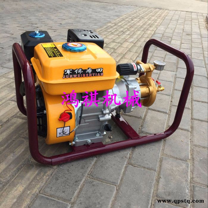 农林植保用工具高压喷雾打药机 玉米棒子打药机 汽油泵农药打药机图6