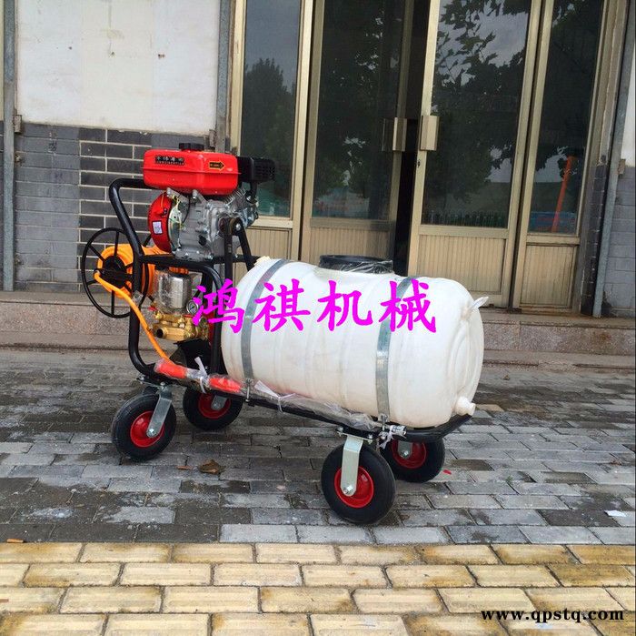 农林植保用工具高压喷雾打药机 玉米棒子打药机 汽油泵农药打药机图7
