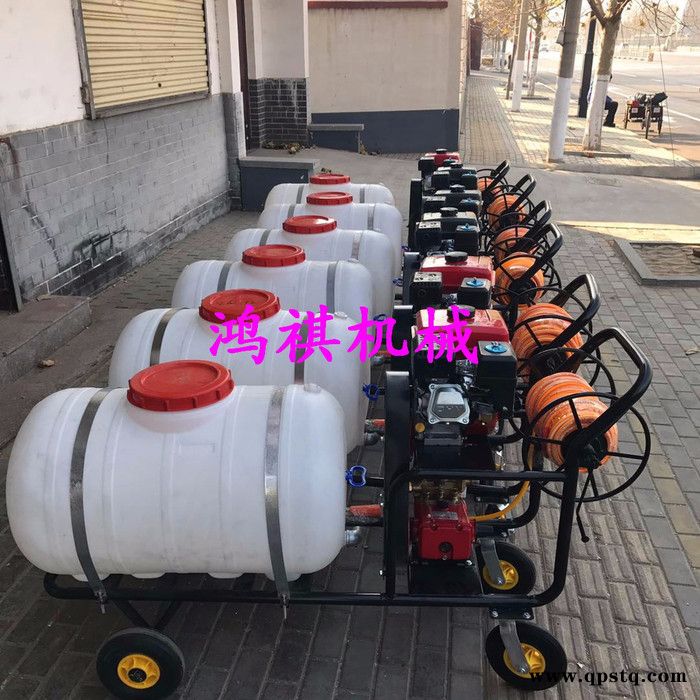 农林植保用工具高压喷雾打药机 玉米棒子打药机 汽油泵农药打药机图3