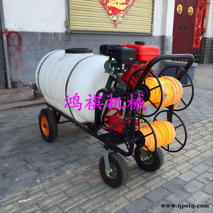 农林植保用工具高压喷雾打药机 玉米棒子打药机 汽油泵农药打药机图2