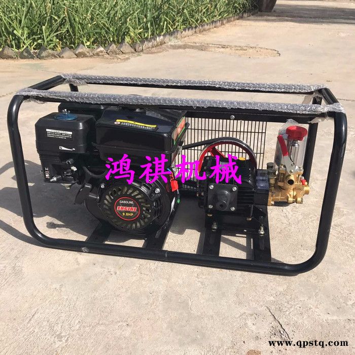 农林植保用工具高压喷雾打药机 玉米棒子打药机 汽油泵农药打药机图4