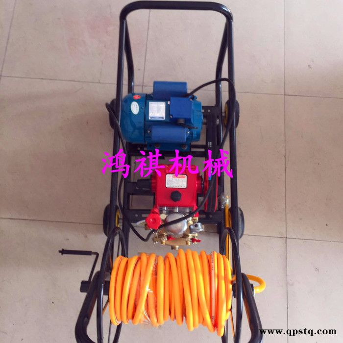 农林植保用工具高压喷雾打药机 玉米棒子打药机 汽油泵农药打药机图5