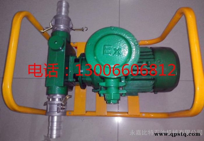 导油泵输油泵柴油泵防爆汽油泵380V抽油泵2寸200L三相叶片泵自吸泵图2