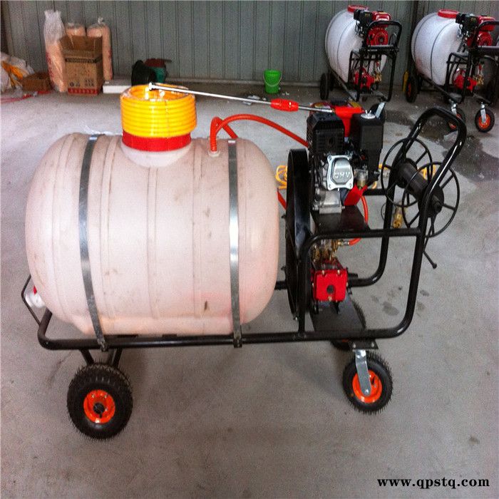 园林机械手推式汽油泵打药机汽油拉管式果树大棚手推杀虫喷雾器消毒万轮图2