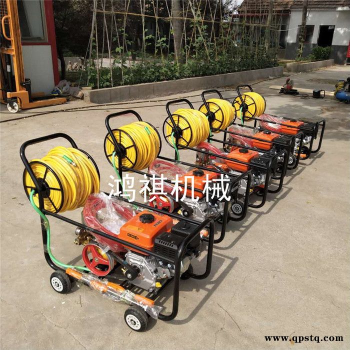 汽油泵高压打药机 高压气雾杀毒喷药机 多功能汽油打药机 田园杀虫打药机图8