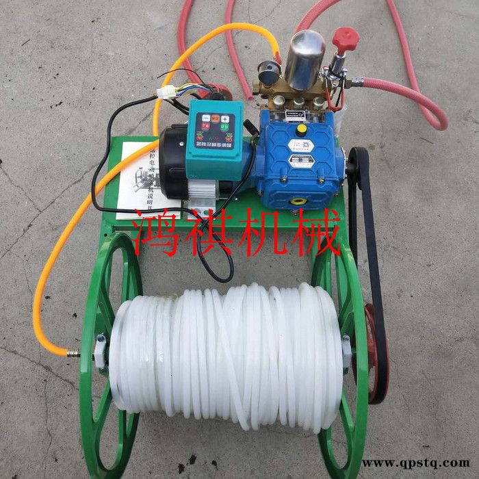 汽油泵高压打药机 高压气雾杀毒喷药机 多功能汽油打药机 田园杀虫打药机图4