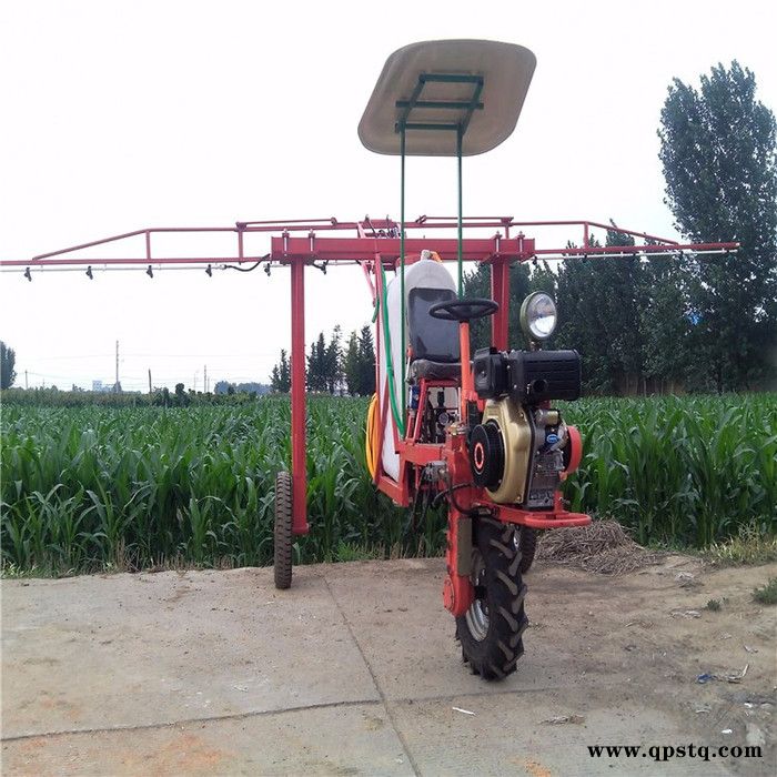 新款农用大容量汽油泵打药车 园林专用高效推车式喷雾器 葡萄园打药除虫喷雾机图7