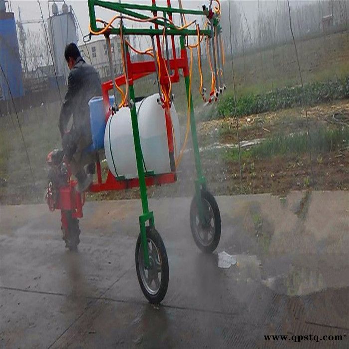 新款农用大容量汽油泵打药车 园林专用高效推车式喷雾器 葡萄园打药除虫喷雾机图3