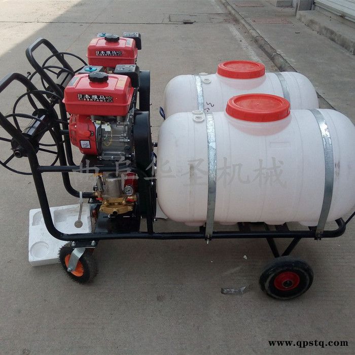 手推消毒打药车 汽油泵喷雾打药车图2