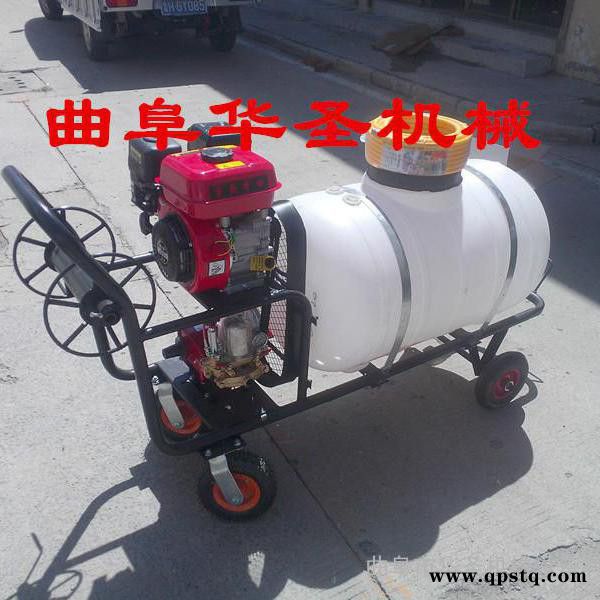 手推消毒打药车 汽油泵喷雾打药车图3
