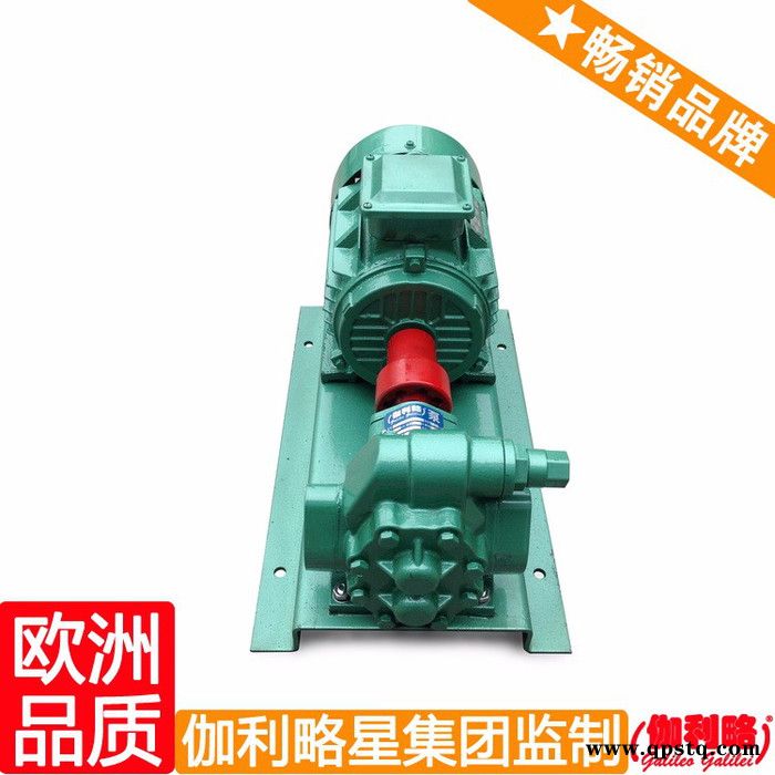 bbg输油泵 高温油泵 汽车水泵齿轮 楚图2