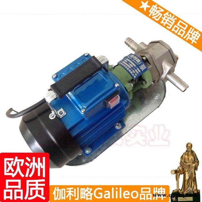 小型齿轮油泵 汽车油泵 s微型齿轮输油泵 星肆图7