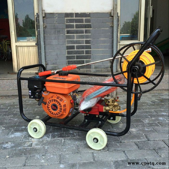 汽油喷雾机多用途汽油打药机汽油泵高压喷雾机图5