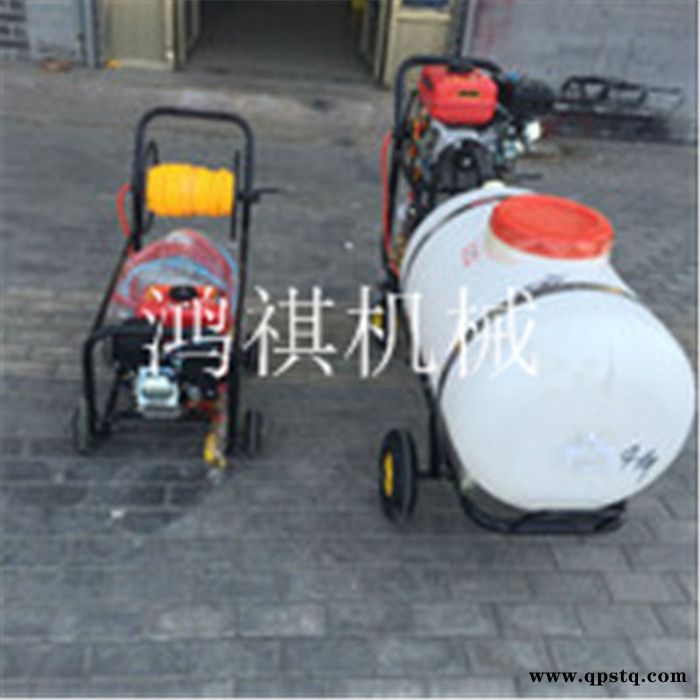 高射程打药机  汽油泵打药车 远程高压打药机 大容量汽油喷雾器图4