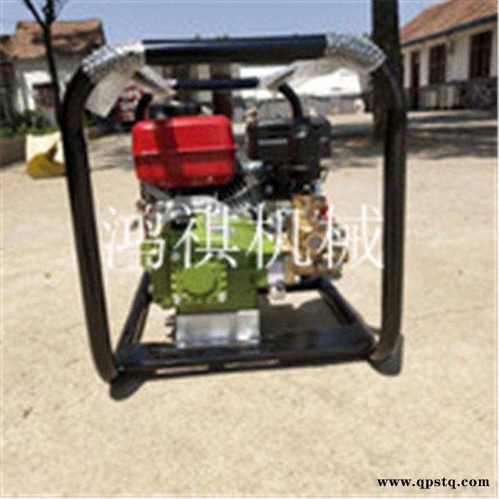 高射程打药机  汽油泵打药车 远程高压打药机 大容量汽油喷雾器图6