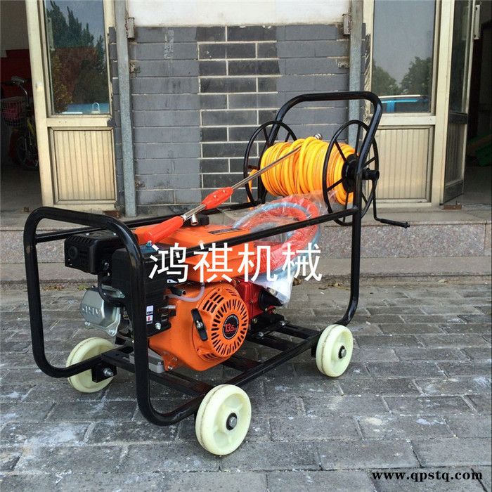 手推式喷雾器 汽油泵农田打药机 批发300升打药机图6