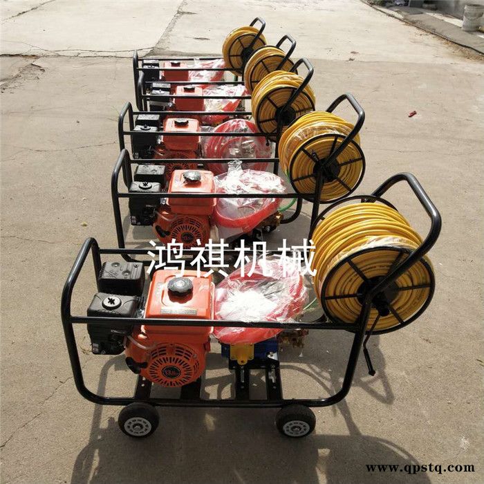 手推式喷雾器 汽油泵农田打药机 批发300升打药机图5