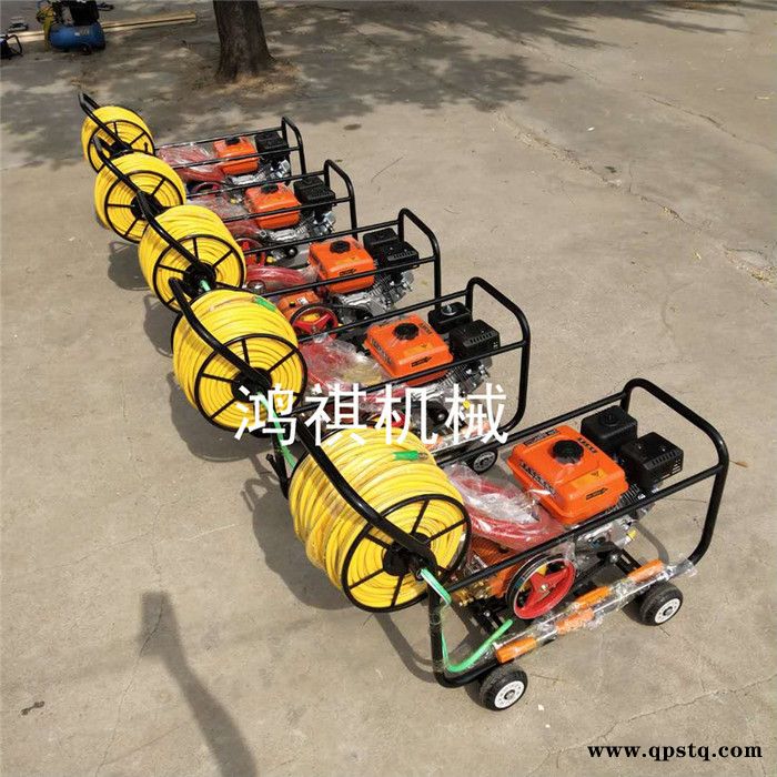 手推式喷雾器 汽油泵农田打药机 批发300升打药机图4