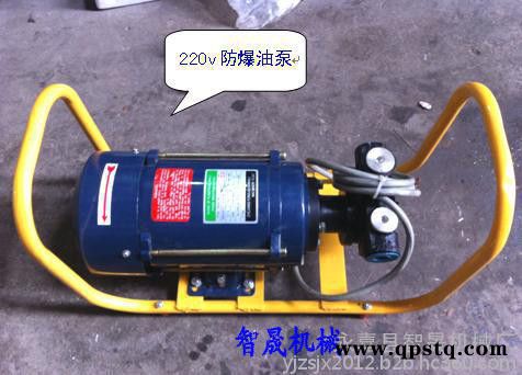220v防爆汽油泵 大流量防爆油泵图2