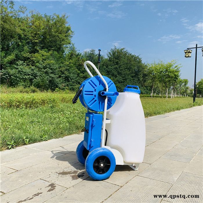 两轮推车式打药机 蓄电池手推式打药机 蔬菜大棚除虫打药机图3