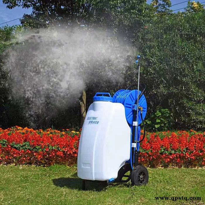 两轮推车式打药机 蓄电池手推式打药机 蔬菜大棚除虫打药机图7