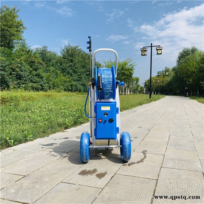 两轮推车式打药机 蓄电池手推式打药机 蔬菜大棚除虫打药机图5