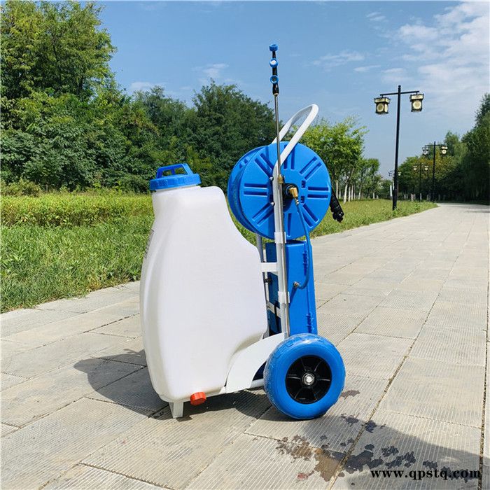 两轮推车式打药机 蓄电池手推式打药机 蔬菜大棚除虫打药机图4