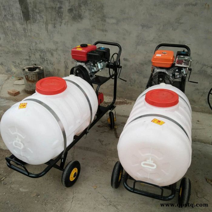 抗高压养殖专用消毒机农用消毒好帮手 推车式蓄电池喷雾器图4