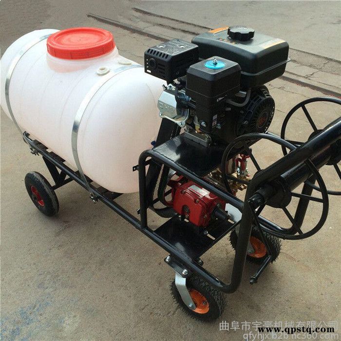 供应电动打药机 稻麦田拉管式喷药机 小型手推蓄电池打药车图4