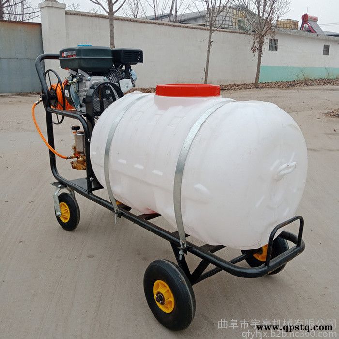 供应电动打药机 稻麦田拉管式喷药机 小型手推蓄电池打药车图5
