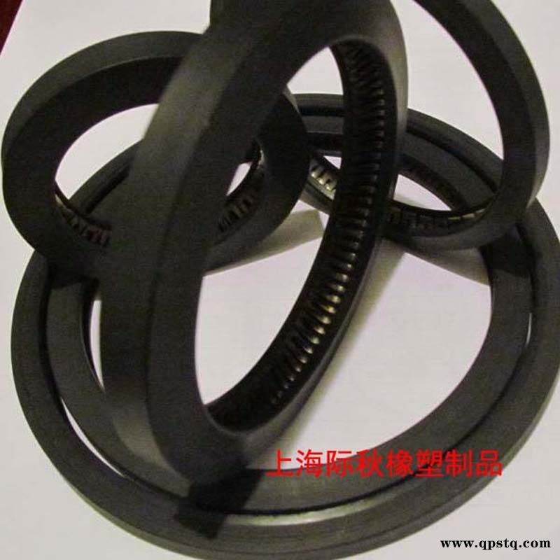 耐高温280℃轴孔用弹簧蓄能 轴孔运动泛塞圈图4