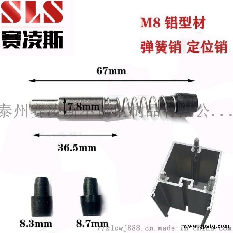 厂家直销 幕墙不锈  簧销 M8 304不锈钢插销图4