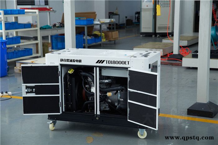 大泽动力TO14000ET 10KW柴油发电机 发电机排爆车图2