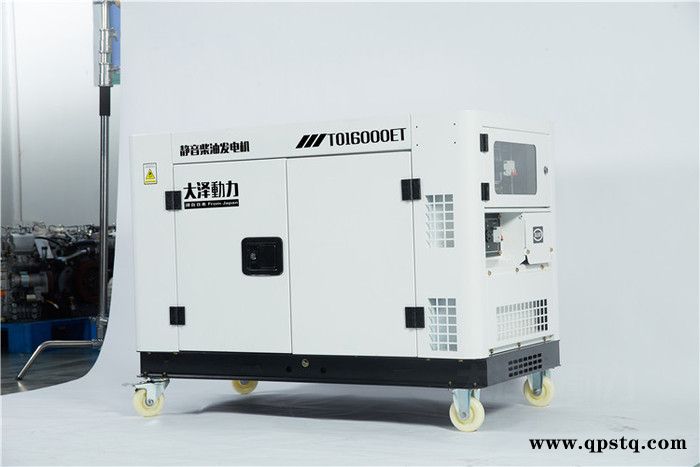 大泽动力TO14000ET 10KW柴油发电机 发电机排爆车图7