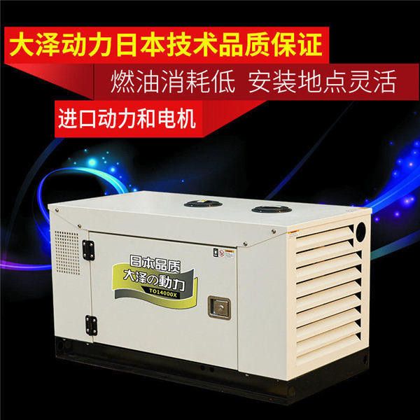 大泽动力TO19000ETX 柴油15kw车载静音发电机图8