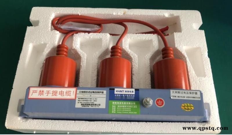 湘湖牌WGVSG2(VBI)-24单弹簧侧装式户内高压真空断路器图4