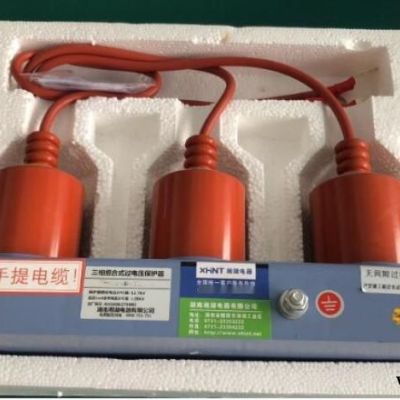 湘湖牌高压真空断路器VEP-M12，12kV，630A，25kA，抽出式，DC220V,弹簧操动机构,带防跳