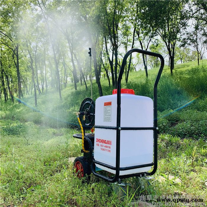 蓄电池推车打药机 拉管式农用打药机 工厂车间消毒消杀喷雾器图5