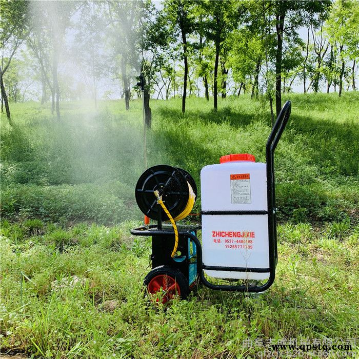 蓄电池推车打药机 拉管式农用打药机 工厂车间消毒消杀喷雾器图4