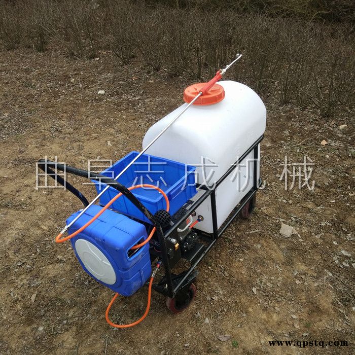 推荐家用喷雾器室内消杀消毒机蓄电池手推式105L电动打药车图2