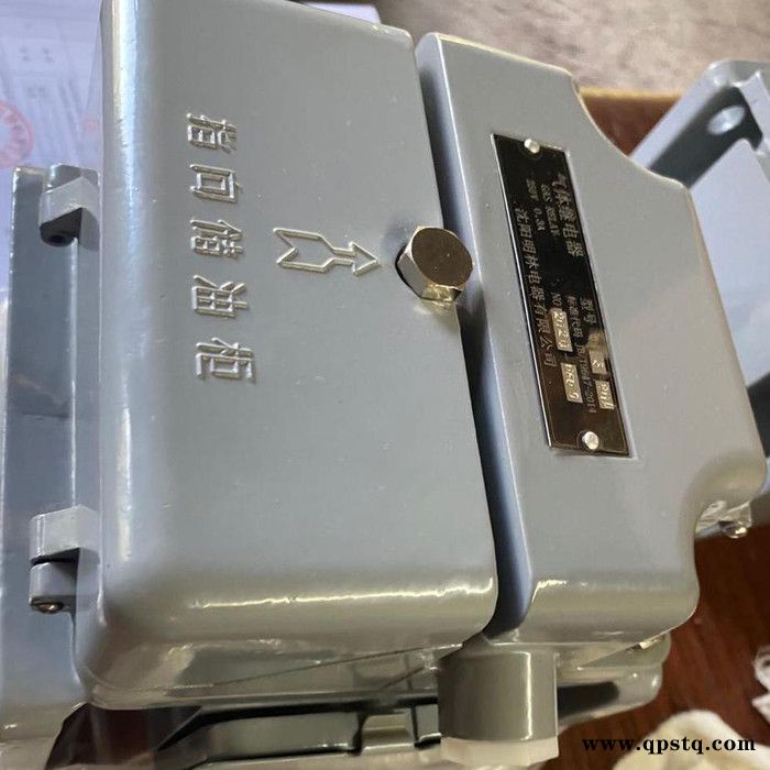 主变瓦斯继电器QJ4-80A图2