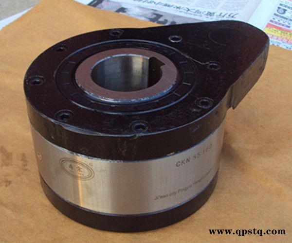 舟山CKN逆止器-永进离合器品质保障-CKN逆止器生产厂家图1