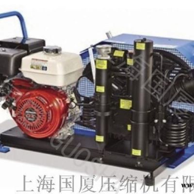 潜水用100公斤空气压缩机