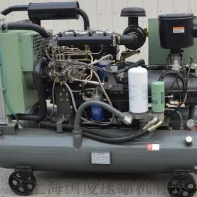 100公斤空气压缩机国厦【经典机型】